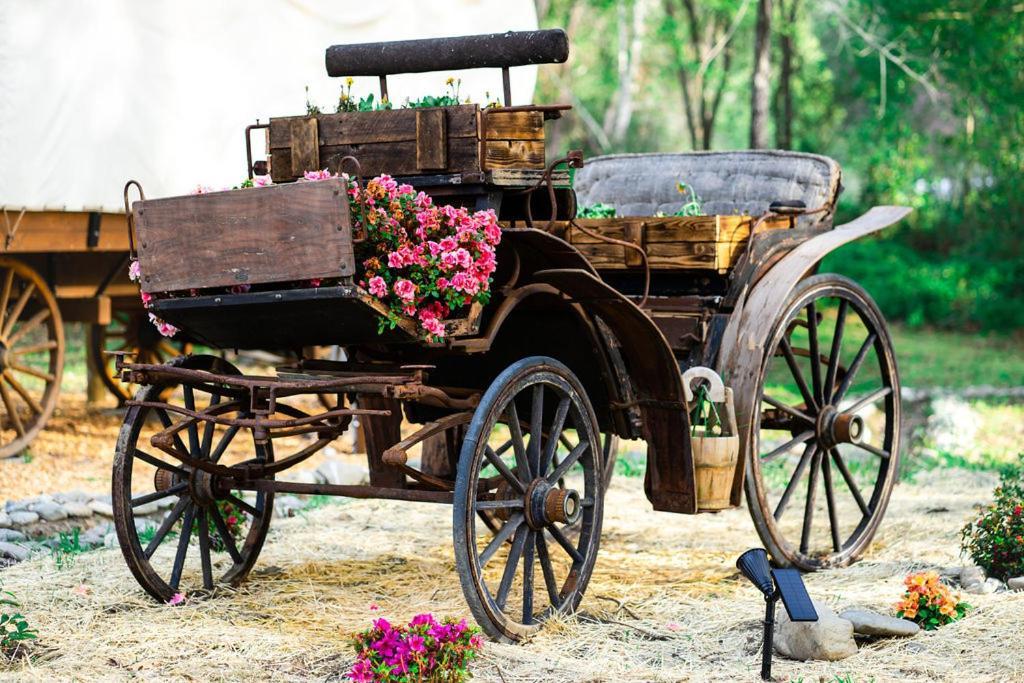 Cozy Wild West Covered Wagon Next To River 格兰茨帕斯 外观 照片